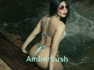 Amberbush