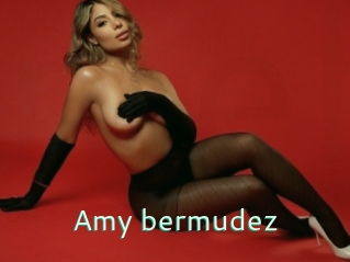 Amy_bermudez