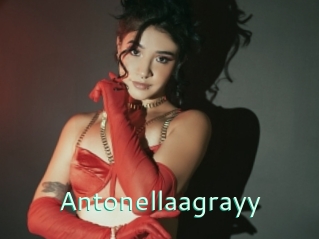 Antonellaagrayy