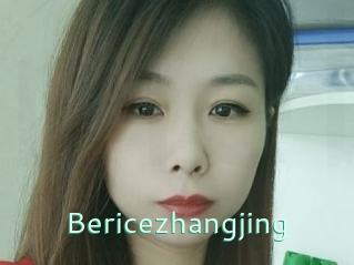Bericezhangjing