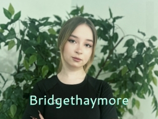 Bridgethaymore