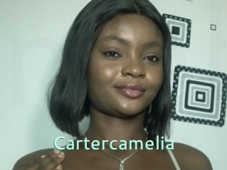 Cartercamelia