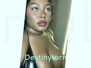 destinytorn Mes Beurettes