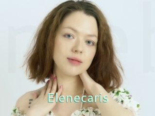 Elenecaris