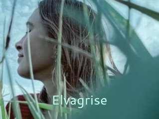 Elvagrise