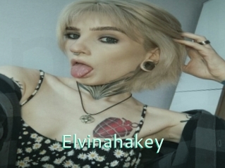 Elvinahakey