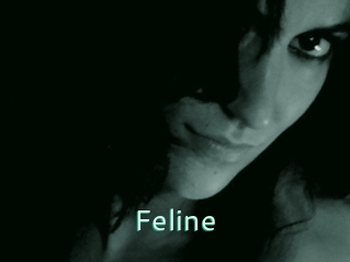 Feline