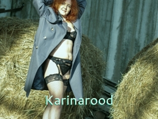 Karinarood