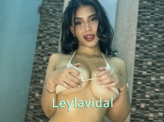 Leylavidal