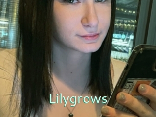 Lilygrows