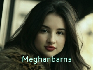 Meghanbarns