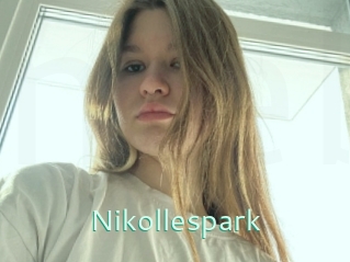 Nikollespark