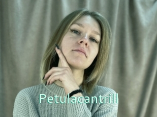 Petulacantrill