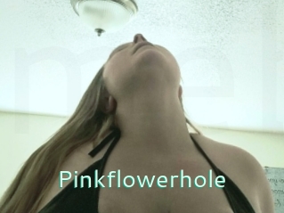 Pinkflowerhole