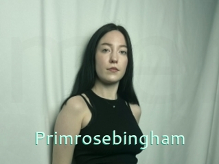 Primrosebingham