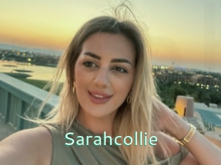 Sarahcollie