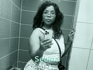 Sebina