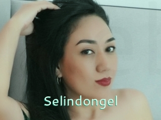 Selindongel