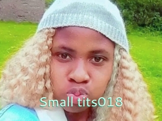 Small_tits018