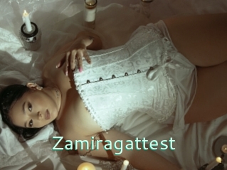 Zamiragattest